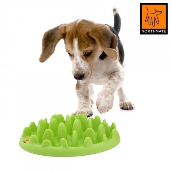 Interactive Food Puzzles For Dogs Interactive Food Puzzles For Dogs