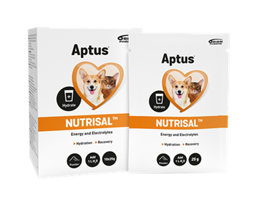 Aptus Nutrisal. Energi - elektrolyttilskud til hund og kat 10 x 25 g. 