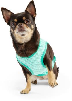 Elasto-Fit Ice Vest - Aqua. Kølevest til hunde i størrelse XS.