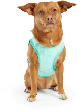 Elasto-Fit Ice Vest - Aqua. Kølevest til hunde i størrelse S.