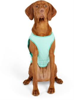 Elasto-Fit Ice Vest - Aqua. Kølevest til hunde i størrelse L.