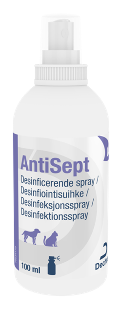 Dechra Antisept. Desinficerende spray til hund og kat. 100 ml.