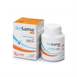 BeSame 200 - 30 tabletter. Tilskudsfoder til støtte af leveren hos hunde og katte.