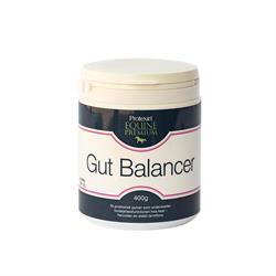 Protexin Gut Balancer. Støtte til normal mave-tarm funktion og motilitet hos hest. 400 g