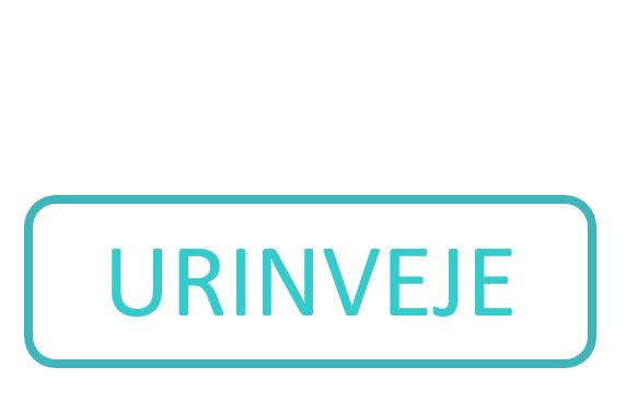 Urinveje