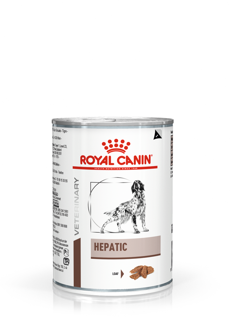 Person med ansvar for sportsspil lovende Cyclops Royal canin, hund, lever, hepatic, våd, foder,