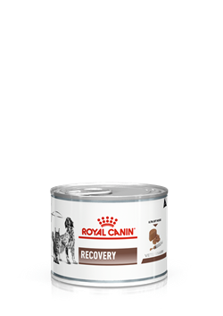 Royal Canin Recovery Canine/Feline. Foder til hunde og katte i kritiske perioder (dyrlæge diætfoder) 1 dåse med 195 g