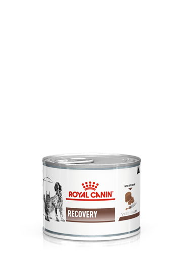 Royal Canin Recovery Canine/Feline. Foder til hunde og katte i kritiske perioder (dyrlæge diætfoder) 1 dåse med 195 g