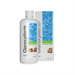 ICF Clorexyderm Shampoo 4 %. Antiseptisk virkning til hund og kat. 250 ml