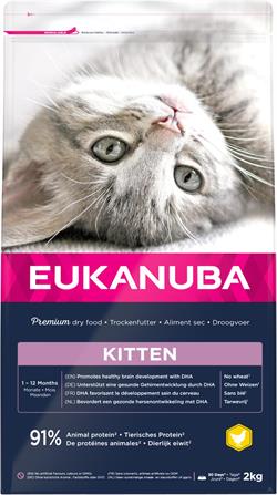 Eukanuba Kitten Healthy Start. Kattefoder til voksende killinger. 2 kg. 