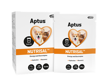 Aptus Nutrisal. Energi - elektrolyttilskud til hund og kat 1 brev af 25 g.