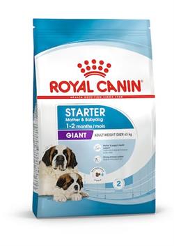 Royal Canin Giant Starter fulfoder til tæver og hvalpe (>45 kg.) 15 kg. 